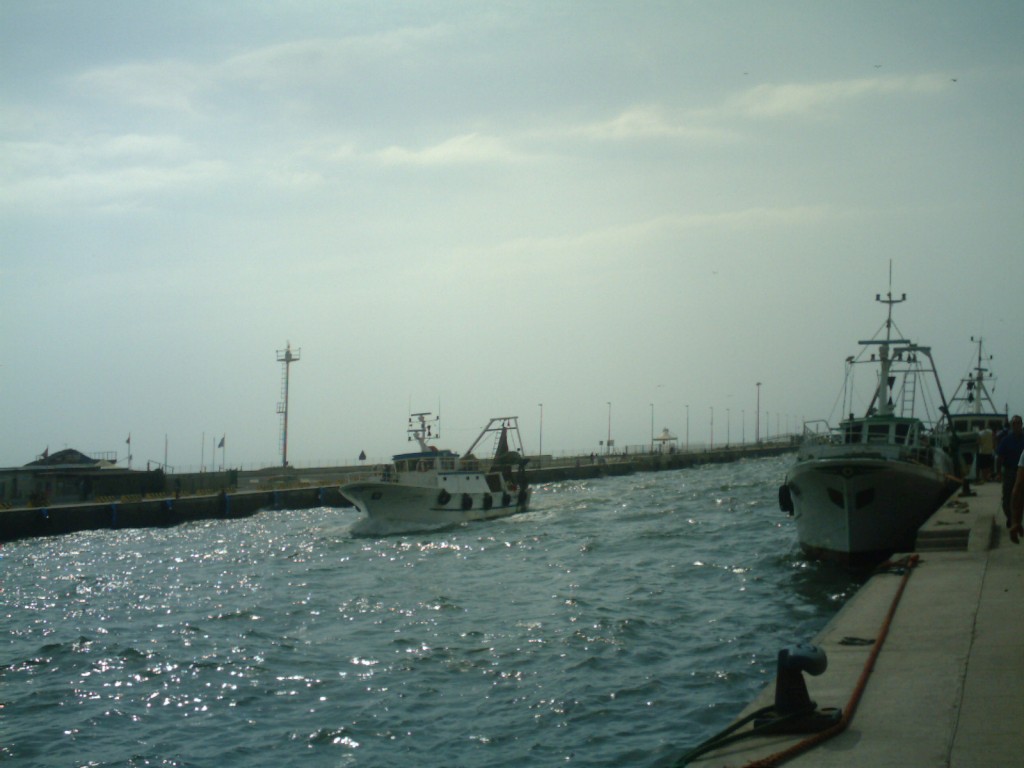 Passeggiata malacologica al Porto di Fiumicino